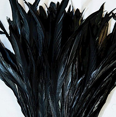 Rooster Tail Feathers - Black                                              